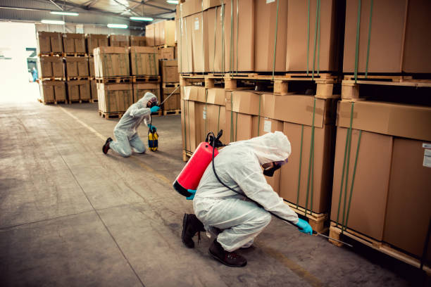 Best Termite Control Services  in Scottsdale, AZ