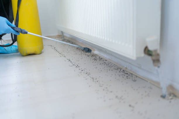 Best Commercial Pest Control Services  in Scottsdale, AZ